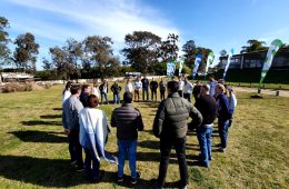 NUEVO COACHING EQUIOS Y GRUPOS